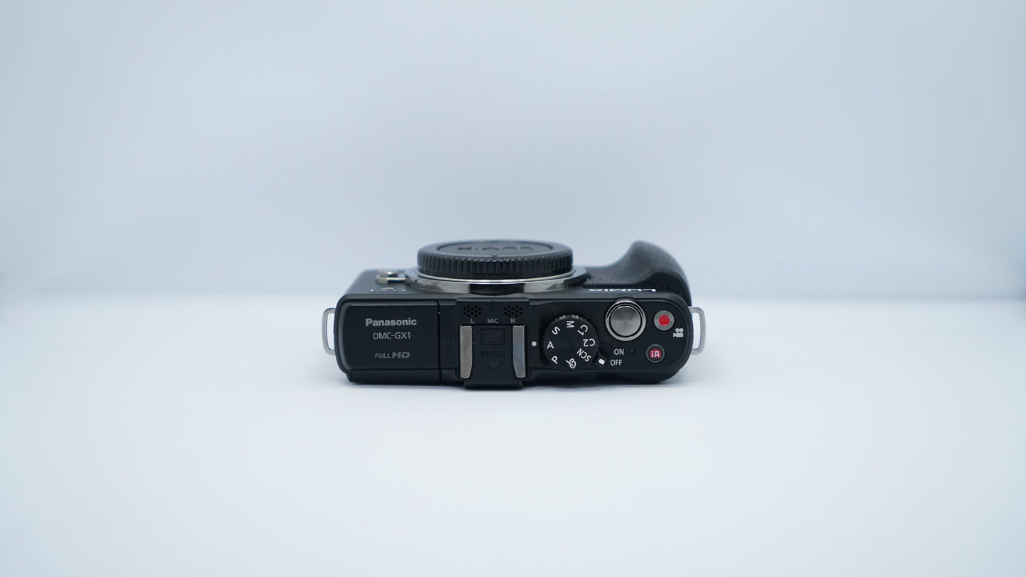 Panasonic Lumix GX1 Premium + Lente 14-42mm + Visor Live View DMW-LVF2