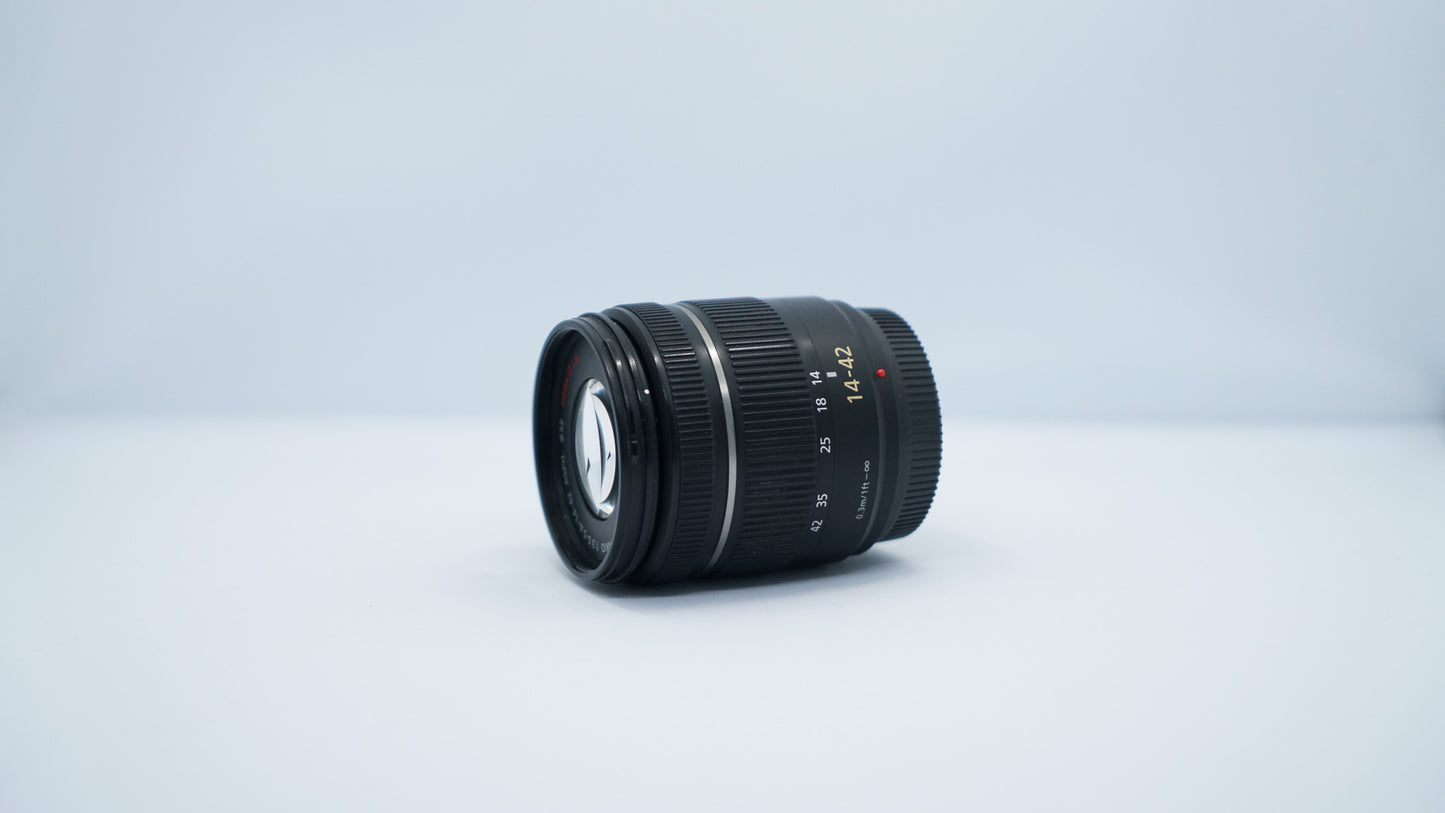 Panasonic Lumix G10 + G Vario 14-42mm f/3.5-5.6 ASPH