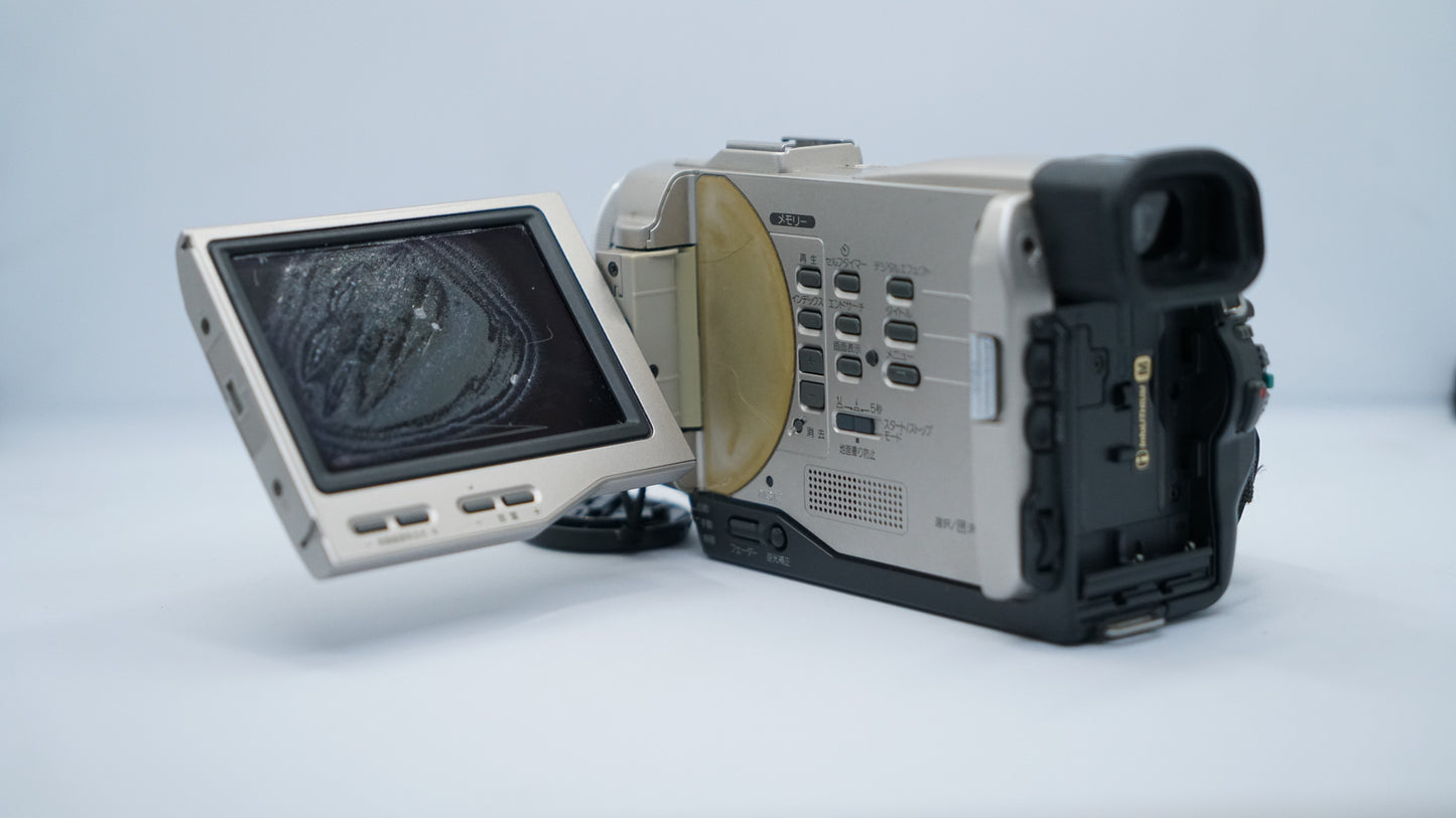 Sony Handycam DCR-TRV10